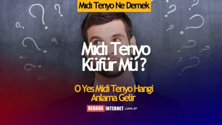 Mıdı tenyo ne demek